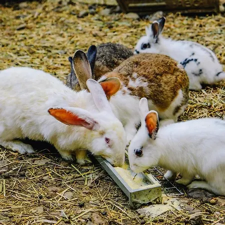 Farma Ca' Fenile
