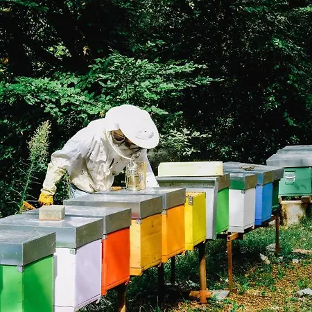 Farma Ca' Fenile