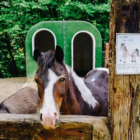 Ca' Fenile Farm stay *