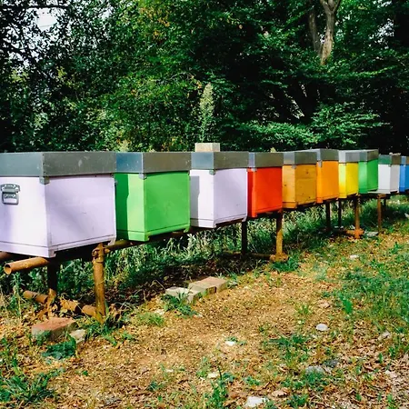 Ca' Fenile Farm stay Alzano Lombardo